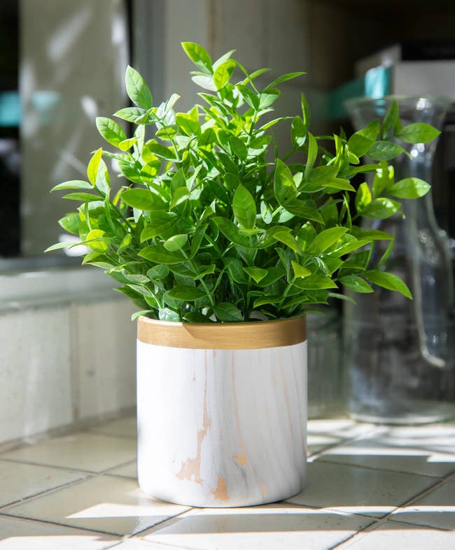 Fake green tea leaf plant inside a gold and white marble pot on top of white tile counter 