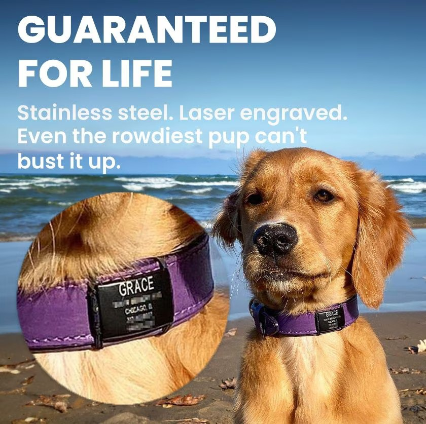 Dog wearing a durable stainless steel engraved collar by the beach. Text highlights its toughness and lifetime guarantee