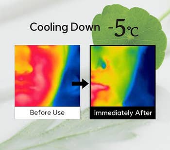 Perbandingan gambar termal yang menunjukkan efek pendinginan 5 ° C pada kulit setelah penggunaan produk. Berdasarkan penelitian dengan 30 wanita berusia 25-34 tahun