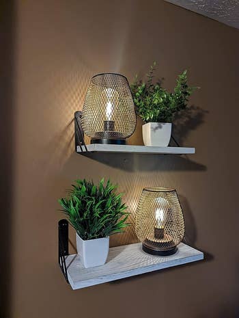 A reviewer's white shelves with lamps on plants on them