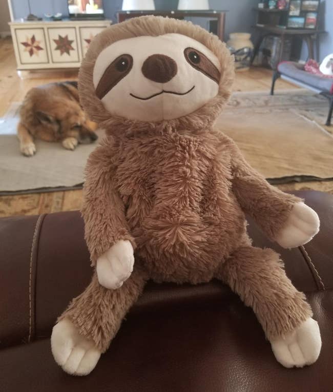 a reviewer photo of the sloth plushie 