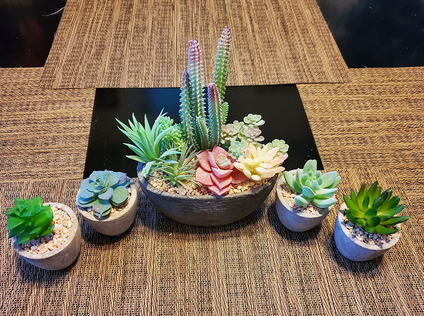 Reviewer image of varying sized succulents in green, yellow, and red on top of  black table with brown placemats 