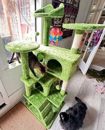 another reviewer's two cats playing on green cat condo