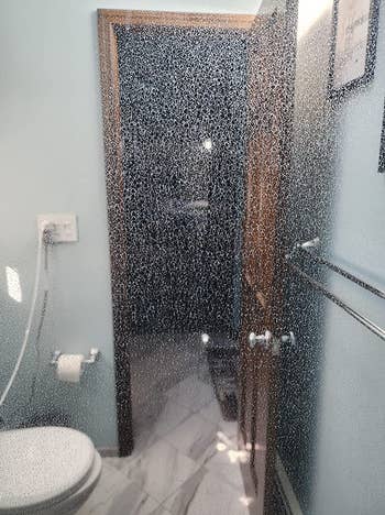 reviewer before photo of foggy shower door