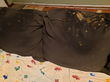 reviewers black couch with poop stains on it