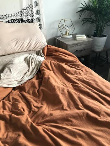 Unmade furniture  with beige and rust-colored bedding, adjacent  to a woody  nightstand with a geometric lamp, a book, and a potted plant