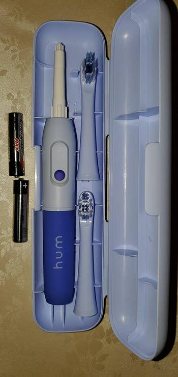 Reviewer's toothbrush in the travel case with two brush heads and two batteries