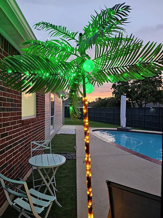 A reviewer palm tree lit up near patio furniture and a pool