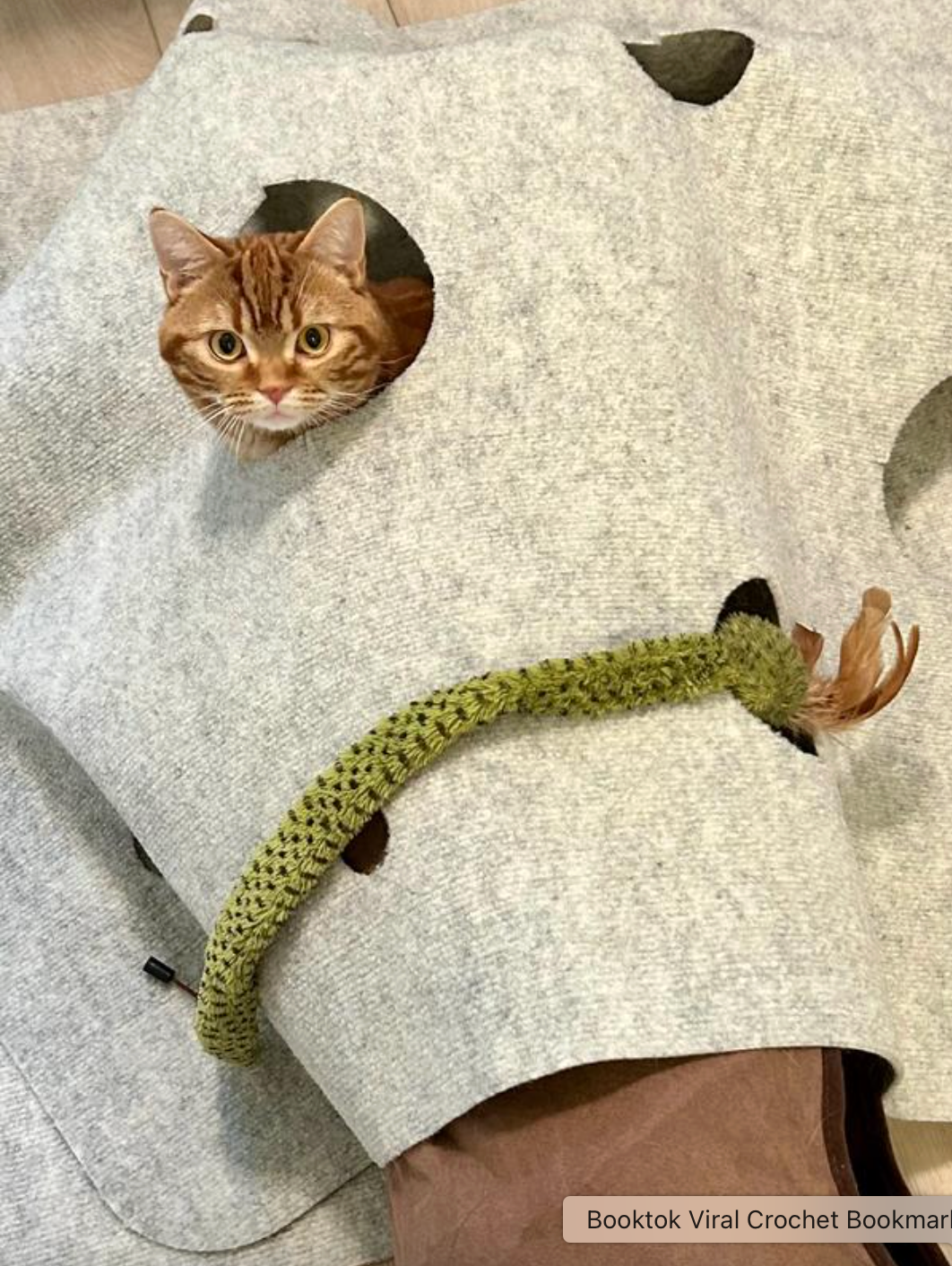 Cat peeking done  a spread   successful  a grey  felt mat with a greenish  crocheted conduit  attached