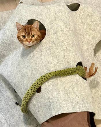Cat peeking done a spread successful a grey felt mat with a greenish crocheted conduit attached