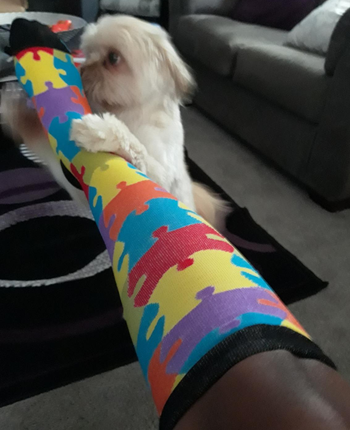 Image of reviewer wearing colorful socks with a dog in the background
