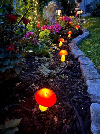reviewer's lit-up mushrooms in a garden