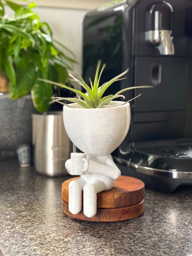 a little white planter that looks like a person (with no face) drinking coffee, with an air plant sitting in the bowl on top