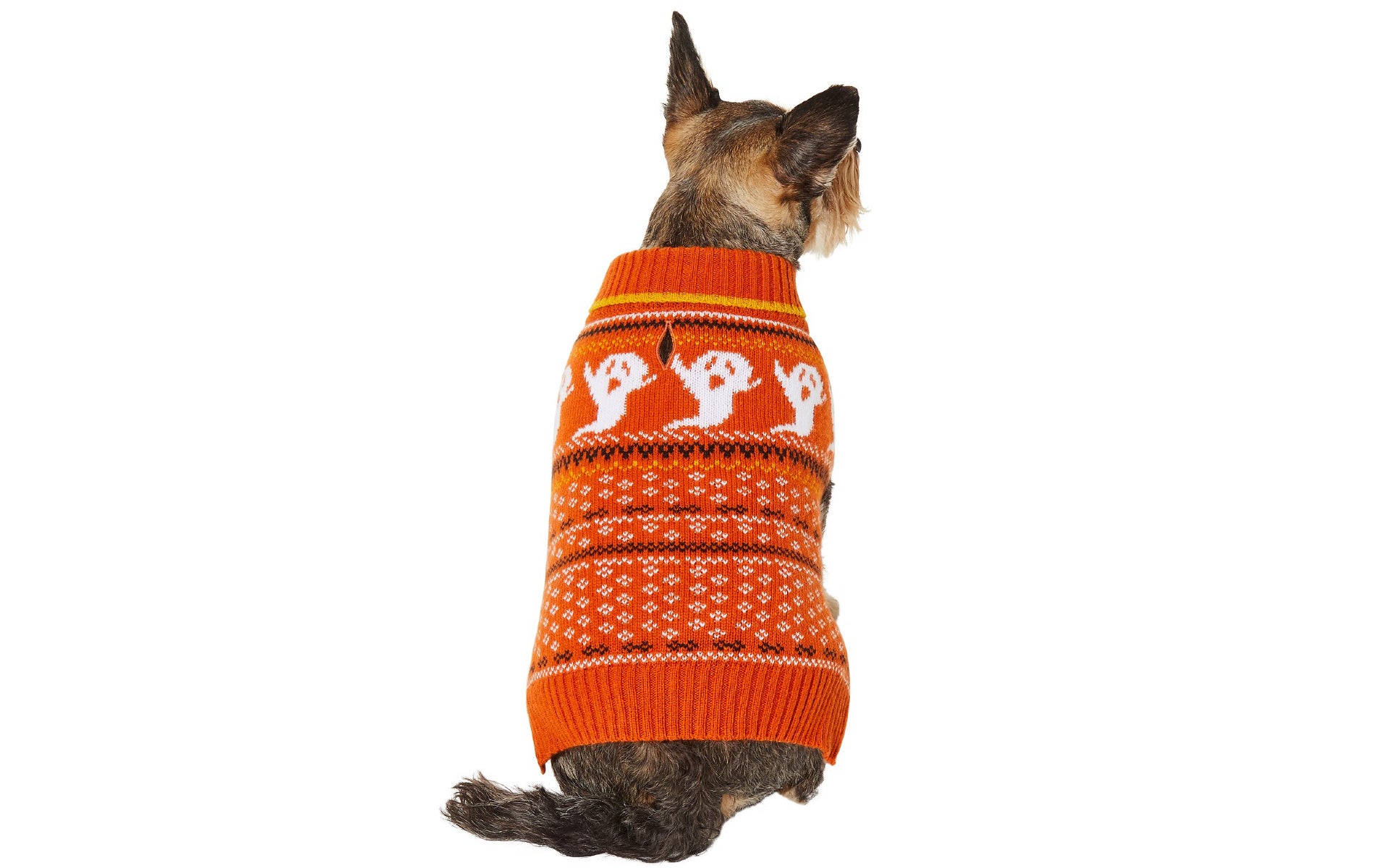 Dog in ghost sweater