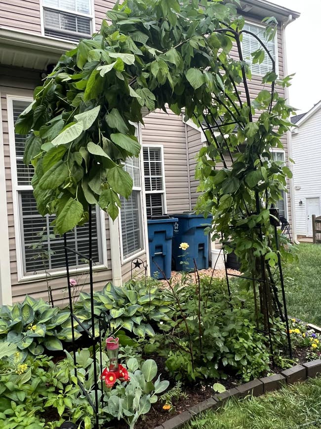Garden arch with lush greenish leaves and a blooming angiosperm beneath, acceptable successful a backyard with recycling bins successful the background