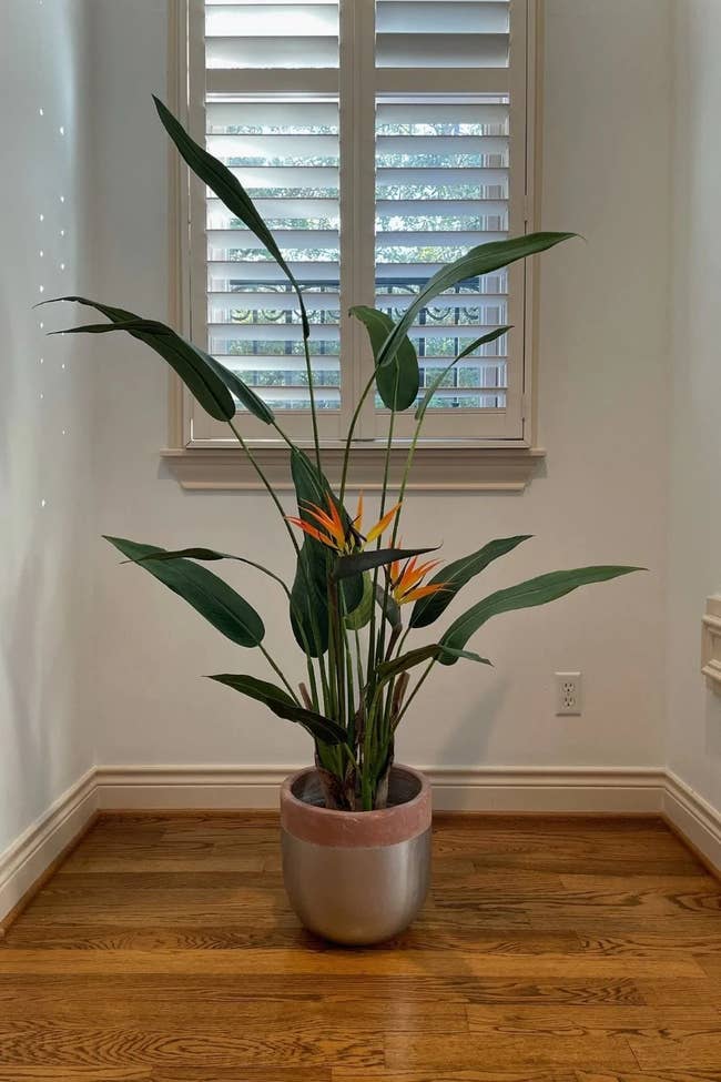 Fake birds of paradise plant inside silver and clay pot on hardwood floor in front of a window