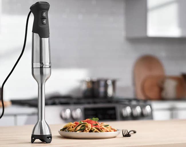 the silver and black immersion blender