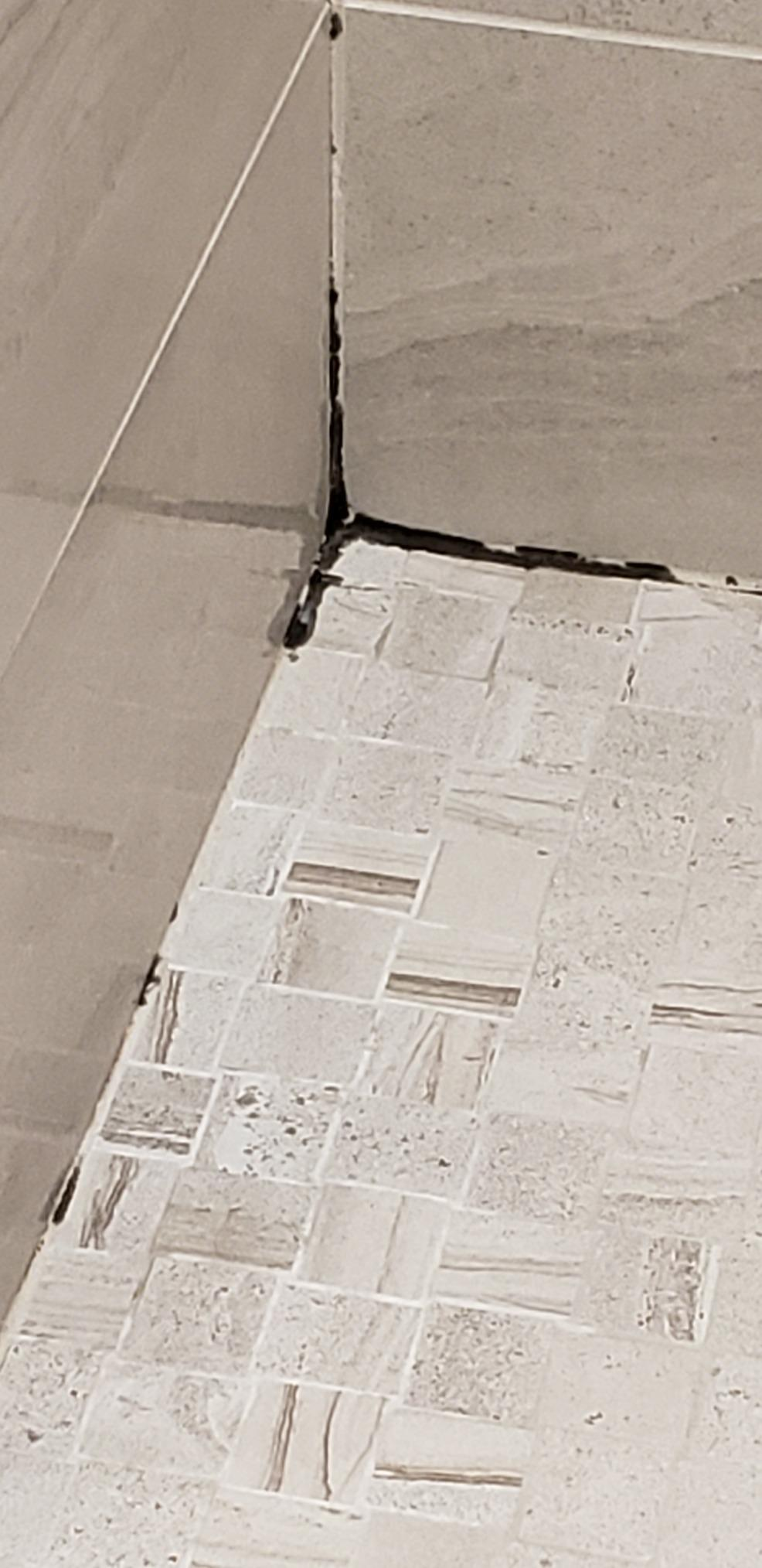 mold in the corner of a reviewer's shower floor and wall