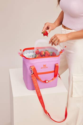 Person placing strawberries into insulated pinkish  container  with reddish  straps, labeled 