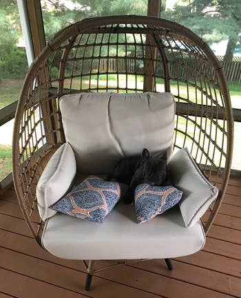 Reviewer image of the brown chair on a deck with a tiny black dog laying on it