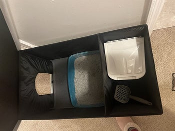 The inside of the litter box