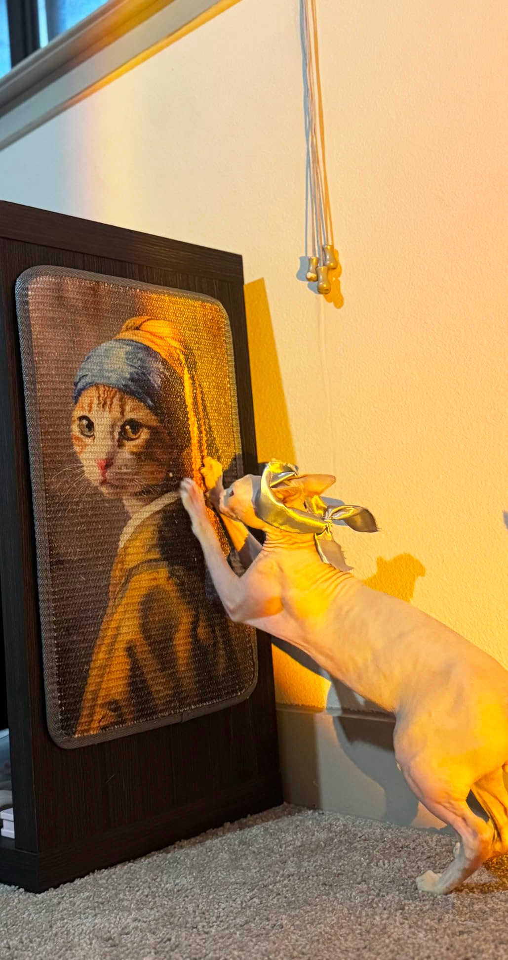 37 Must-Have Products For Multi-Cat Households