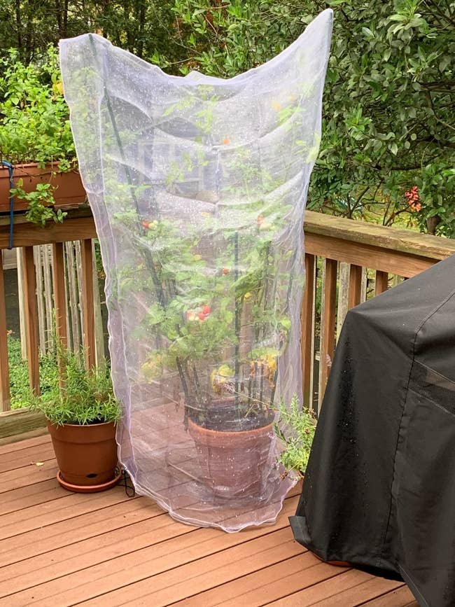 Garden works covered with a protective mesh netting connected a woody deck, surrounded by potted plants and a grill cover