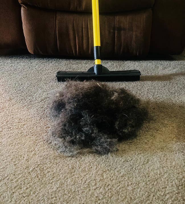 a squeegee broom with a pile of dust and hair it pulled from a carpet