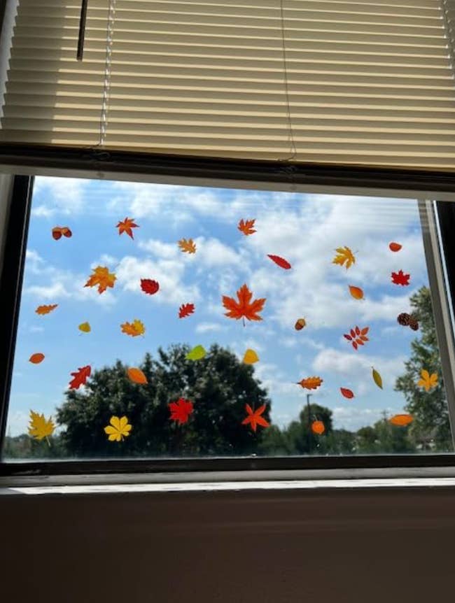 36 Cheap Fall Decor Finds For Your Halloween Budget