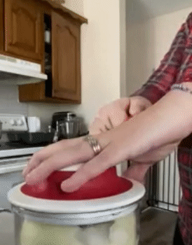 gif of reviewer chopping onions using the chopper