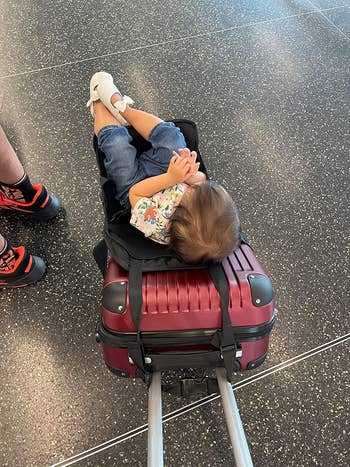 reviewer representation  of the spot   attached to a carry-on suitcase with a kid  sitting successful  it