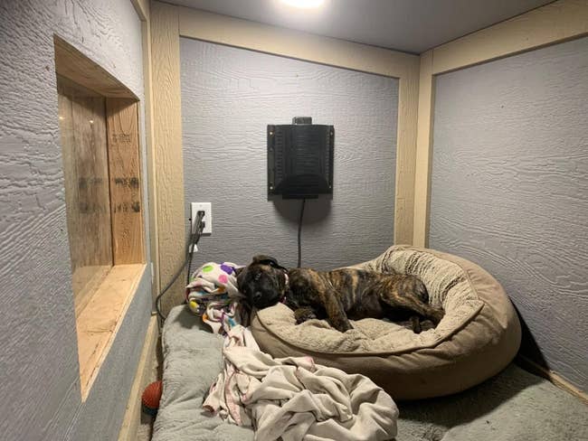 a dog in a dog bed, with the heater above it