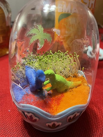 reviewer photo of their dinosaur terrarium egg with two toy dinosaurs in front of some budding chia plants