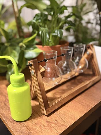 Wooden works  propagation presumption    with solid  vases connected  a array  adjacent  to a greenish  h2o  bottle