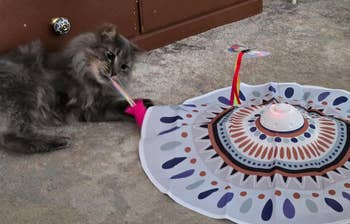 Cat plays with an interactive artifact connected the floor, featuring a circular patterned mat and a moving butterfly attachment