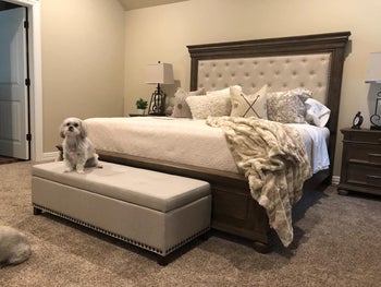 reviewer photo of beige fabric storage ottoman with little dog sitting on it