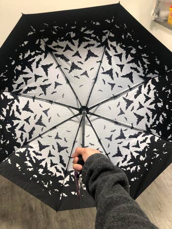 Reviewer holding an unfastened  umbrella with a plan  of flying bats