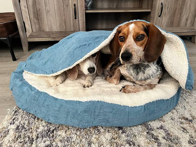 Reviewer's dogs cuddled into a dog bed with a hood