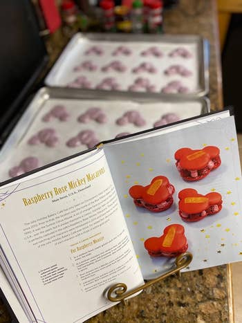 Reviewer's cookbook open and in front of Mickey shaper treats
