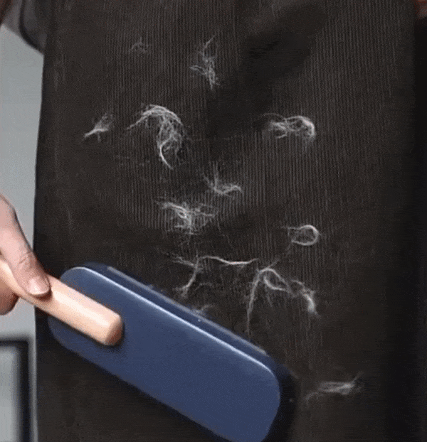 Gif of model using lint remover on pants and all the pet hair being picked up