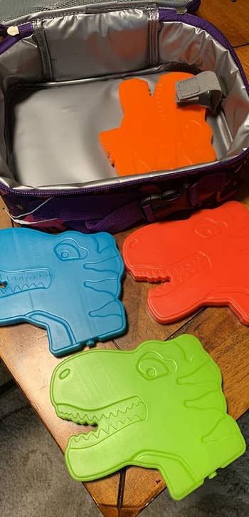 T rex head–shaped slim ice packs in four different colors