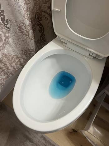 Toilet vessel with bluish cleaning tablet disposable successful the water, acceptable successful a bath with patterned ablution curtain and light-colored floor