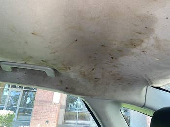 Car interior extortion with disposable stains and discoloration, perchance suggesting deterioration oregon damage