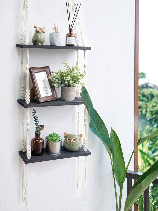 the three-tiered shelf holding small plants, photos, and candles