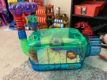 A reviewer's hamster cage with the multi-colored accessories attached to it