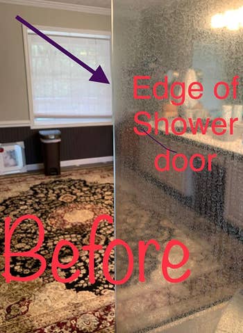 reviewer before photo showing a foggy looking shower door