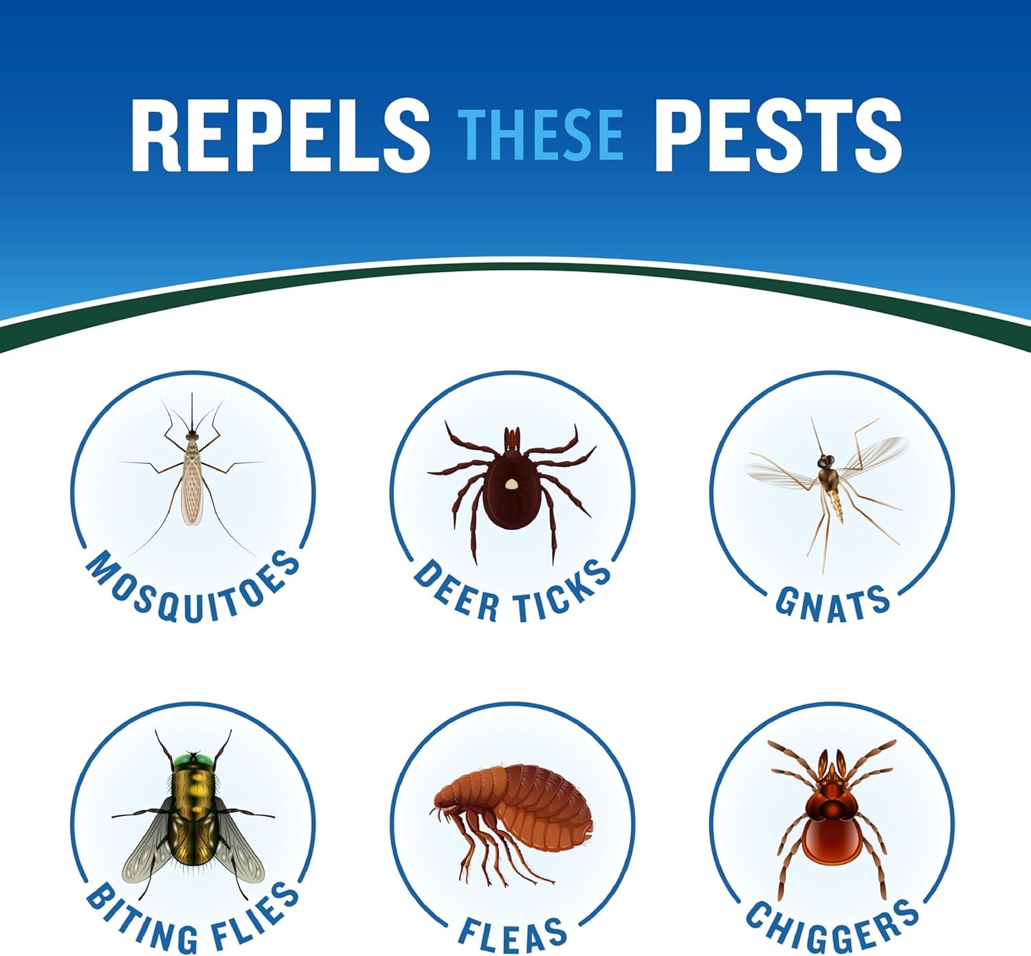 14 Best Bug Sprays