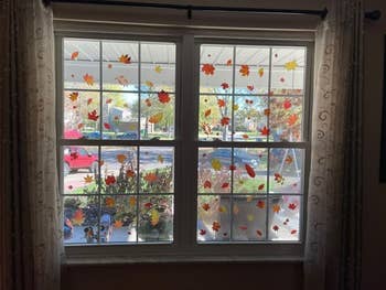 Window adorned with galore   leafage  decals, overlooking a suburban street. Decor suggests seasonal oregon  autumn-themed buying  context
