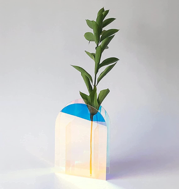 iridescent vase with a plant in it