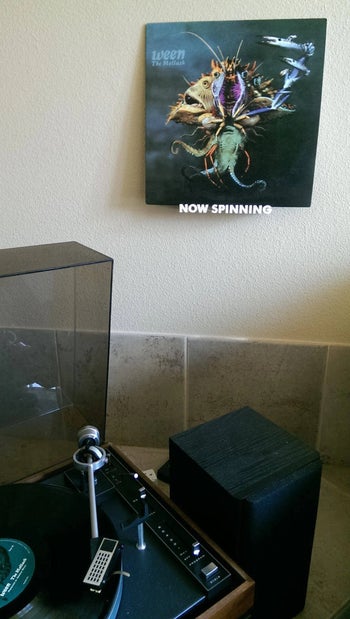 the now spinning shelf on a wall
